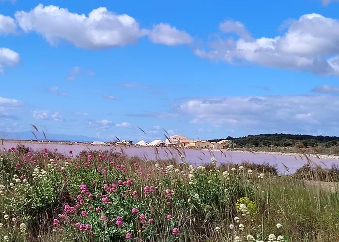 Port Panoramique * Gruissan